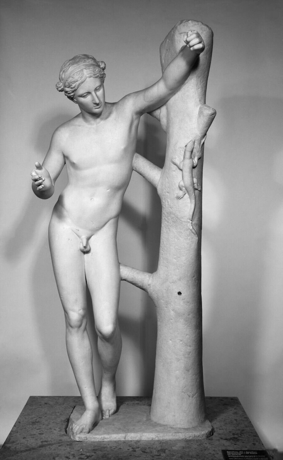 Ilustracja przedstawia rzeźbę „Apollo Sauroktonos”. Autorem oryginału był Praksyteles. Na zdjęciu widoczny jest marmurowy posąg młodego Apolla stojącego przy pniu drzewa na który wspina się jaszczurka. Naga postać ustawiona jest w lekkim kontrapoście. Lewa ręka wyciągnięta jest do góry i opiera się o pień drzewa, natomiast prawa opuszczona jest w dół i zgięta w łokciu. Głowa lekko pochylona w dół. Falowane włosy podtrzymane są opaską. Ułożenie rąk i tułowia sugeruje skupienie postaci na jaszczurce. Rzeźba odznacza się miękkim i delikatnym modelunkiem.