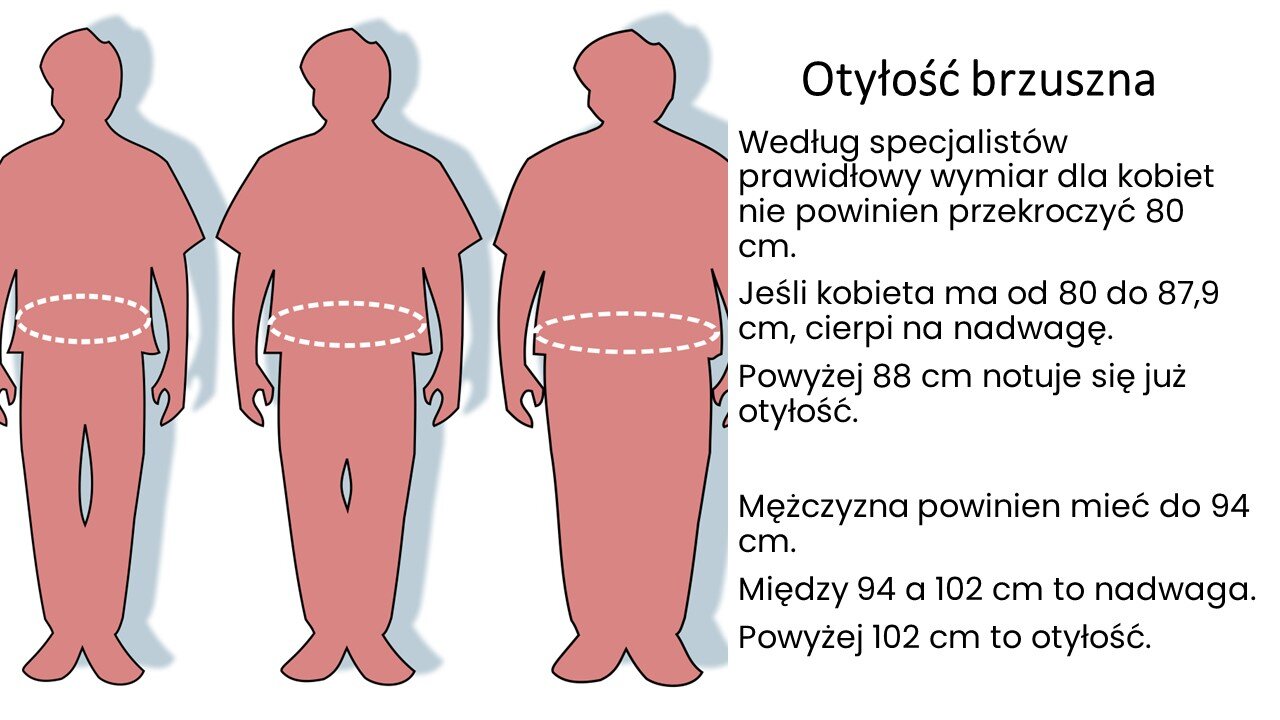 Biały slajd. Z lewej strony ilustracja przedstawiająca sylwetki trzech mężczyzn ustawionych w rzędzie. Każdy na brzuchu ma biały okrąg, który powiększa się: każdy kolejny mężczyzna jest bardziej otyły. Z prawej strony tekst: „Otyłość brzuszna. Według specjalistów, prawidłowy wymiar dla kobiet nie powinien przekroczyć 80 cm. Jeśli kobieta ma od 80 do 87,9 cm, cierpi na nadwagę. Powyżej 88 cm notuje się już otyłość. Mężczyzna powinien mieć do 94 cm. Między 94 a 102 cm to nadwaga. Powyżej 102 cm to otyłość”.