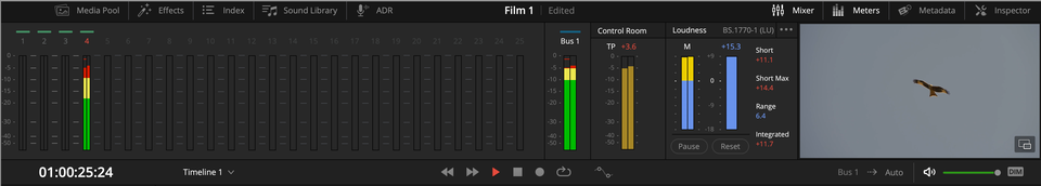 Ilustracja przedstawia ścieżki dźwiękowe, po prawej stronie znajduje się podgląd wideo, na którym znajduje się lecący orzeł. Na dole ilustracji znajduje się czas trwania filmu oraz opcje przewijania, wstrzymania i inne. 