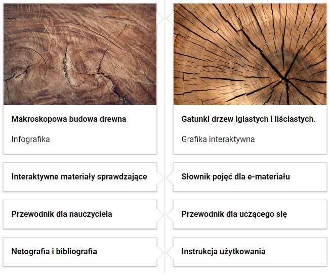 Grafika przedstawia widok na fragment spisu treści. Widocznych jest osiem kafelków z tytułem. Dwa z nich ma dodatkowo grafikę. Pierwszy kafelek. Makroskopowa budowa drewna. Infografika. Zdjęcie przedstawia drewno z bliska. Drugi kafelek. Interaktywne materiały sprawdzające. Trzeci kafelek. Przewodnik dla nauczyciela. Czwarty kafelek. Netografia i bibliografia. Piąty kafelek. Gatunki drzew iglastych i liściastych. Grafika interaktywna. Zdjęcie przedstawia przekrój poprzeczny pnia. Szósty kafelek. Słownik pojęć dla e‑materiału. Siódmy kafelek. Przewodnik dla uczącego się. Ósmy kafelek. Instrukcja użytkowania.