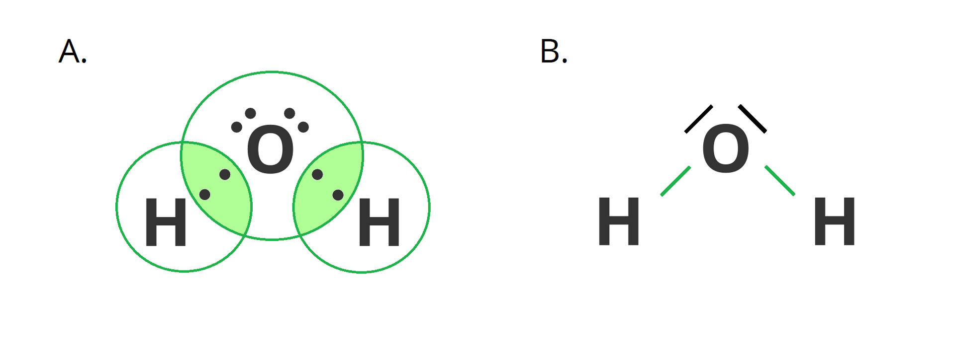 Ilustracja przedstawia uproszczony schemat tworzenia się wiązania między atomami wodoru i tlenu, co prowadzi do cząsteczki wody, której wzór elektronowy przedstawiono po prawej stronie. W części oznaczonej literą A znajdują się dwa atomy wodoru obok siebie, a pomiędzy nimi u góry - atom tlenu. Atomy te tworzą kąt rozwarty. Atom tlenu posiada dwie wolne pary elektronowo, zaznaczone w postaci dwóch czarnych kropek każda. Wolne pary znajdują się nad symbolem tlenu O. Ponadto, atom tlenu posiada dwa niesparowane elektrony jeden znajduje się w obrębie pierwszego atomy wodoru H, a drugi w pobliżu drugiego. Podobnie po jednym niesparowanym elektronie od każdego z atomów wodoru znajdują się obok niesparowanych elektronów pochodzących od atomy tlenu. Dochodzi do uwspólnienia elektronów, co zobrazowano, zakreślając odpowiednio symbole atomów wraz z kropkami reprezentującymi elektrony. Atom tlenu zakreślono wraz wszystkimi wymienionymi elektronami, których w sumie jest osiem - tlen osiąga oktet. Z kolei atomy wodoru uwspólniają po jednym elektronie i zakreślono każdy wraz z jednym niesparowanym elektronem pochodzącym od atomu tlen - co prowadzi do utworzenia dubletu przez każdy z dwóch atomów wodoru. Po prawej stronie w części B schematu znajduje się wzór kreskowy cząsteczki wody. Składa się on z atomu tlenu O połączonego za pomocą wiązań pojedynczych z dwoma atomami wodoru. Wiązania te reprezentują zielone kreski. Atom tlenu posiada dwie wolne pary elektronowe zaznaczone za pomocą kresek.
