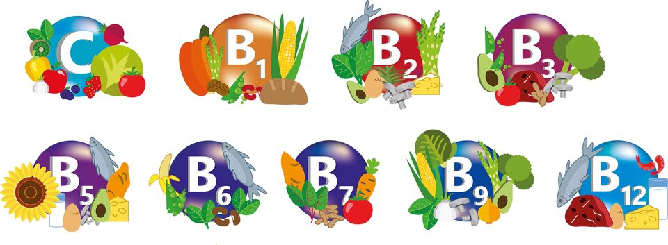 Rysunek przedstawia witaminy rozpuszczalne w wodzie:  C, na rysunku kiwi, pomidor, jabłko, truskawka, kapusta, burak, żółta papryka, czosnek. B1, na rysunku dynia, szparagi, orzechy włoskie, zielony groszek, czerwona fasola, chleb, kukurydza.  B2, na rysunku ryba, awokado, jajko, rozmaryn, grzyby, szparagi.  B 3, na rysunku awokado, zielony groszek, pomidory, arbuz, orzeszki ziemne, grzyby, brokuły.  B 5, na rysunku słonecznik, mleko, jajka, grzyby, awokado, żółty ser, łosoś, ryby. B 6, na rysunku banany, zielony groszek, fasola, ryby, bazylia.  B 7, na rysunku marchewka, pomidory, buraki, pomidor.  B9, na rysunku kukurydza, czosnek, grzyby, cebula, awokado, brokuł, szparagi.  B12,  na rysunku ryby, mięso, jajka, żółty ser, mleko, krewetki.