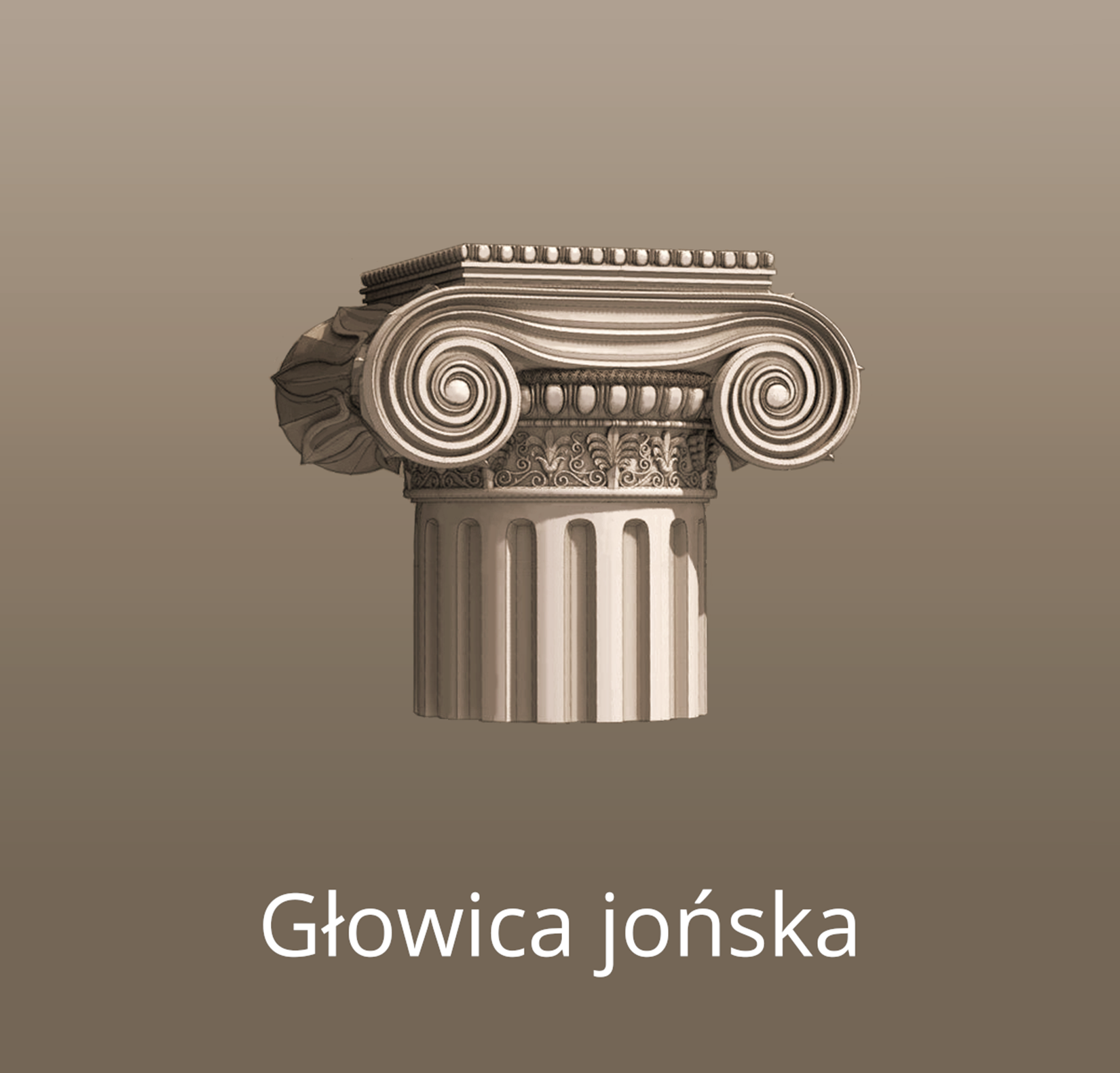 Na ilustracji znajduje się grafika przedstawiająca głowicę oraz fragment trzonu kolumny jońskiej. Głowica kolumny ozdobiona jest wolutami przypominającymi baranie rogi. Między żłobkowanym trzonem kolumny a wolutami, wokół kolumny, biegnie wąski pas płaskorzeźb przedstawiających motywy roślinne. Nad nim drobne wypukłe elementy, tak zwane „wole oczka”.