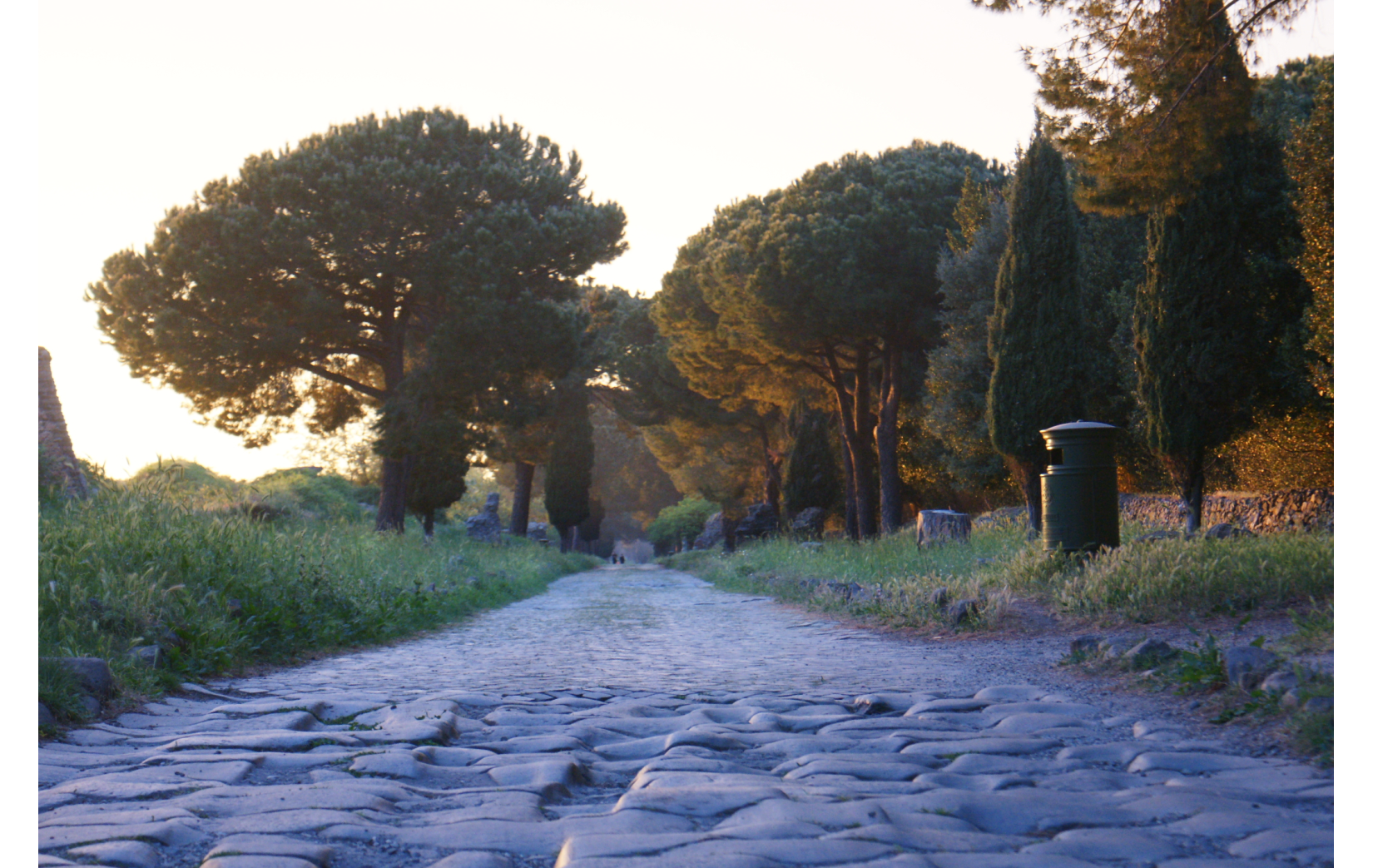 Na zdjęciu wykonanym o zachodzie słońca, zaprezentowana została droga wykonana z kamieni, która niegdyś znajdowała się na przedmieściach starożytnego miasta Rzym. Z każdej strony drogi rośnie bujna trawa, oraz rozłożyste drzewa.