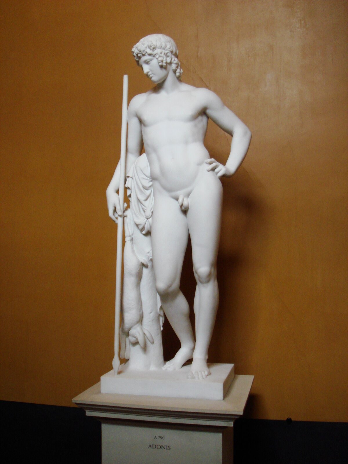 Ilustracja przedstawia marmurową rzeźbę Bertela Thorvaldsena zatytułowaną „Adonis”. Jest ona ustawiona na postumencie pod jasnobrązową ścianą muzeum. Ukazuje nagiego młodzieńca. W prawym ręku trzyma dzidę; ramię opiera na pieńku drzewa, na którym zawiesił upolowanego zająca. Lewą ręką dotyka biodra. Twórca zastosował technikę kontrapostu. Głowa rzeźby jest lekko skręcona w prawą stronę, prawa noga zgięta w kolanie, odsunięta do tyłu. Cały ciężar spoczywa na mocno stojącej lewej stopie.