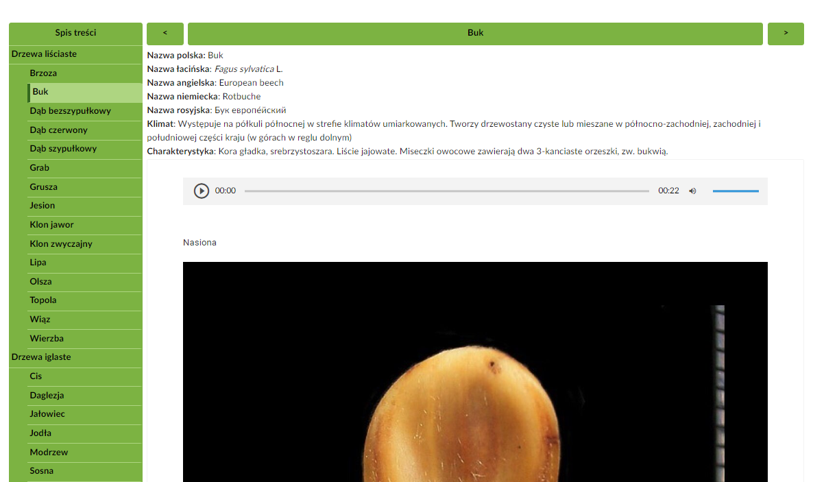 Grafika przedstawia widok atlasu interaktywnego. Po lewej stronie w rubryce znajduje się spis treści. Po prawej stronie ekranu widoczna jest treść z wybranej zakładki. Zawiera ona krótki opis oraz zdjęcie.