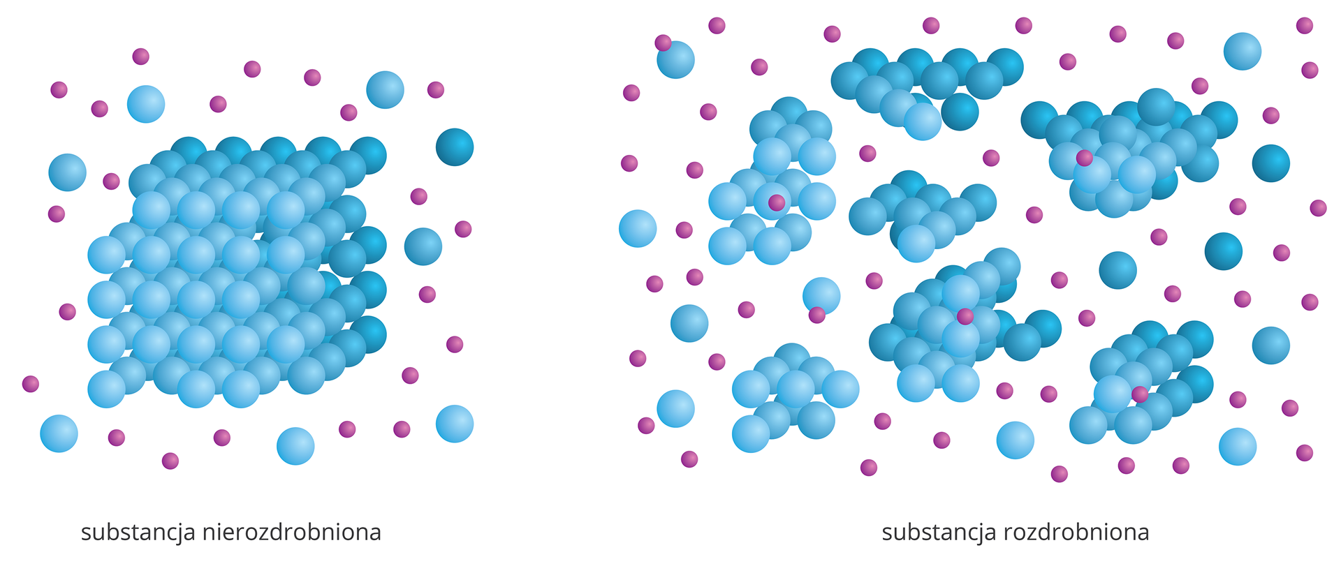 Ilustracja składa się z dwóch rysunków przedstawiających schematycznie proces rozpuszczania substancji w zależności od stopnia rozdrobnienia. Na rysunku z lewej strony rozpuszczana jest substancja nierozdrobniona. Pojedynczy blok złożony z dużych niebieskich kulek otoczony jest przez fioletowe kulki symbolizujące cząsteczki rozpuszczalnika. Od bloku sporadycznie odrywają się cząstki i grupy cząstek, ale w samym rozpuszczalniku unosi się ich niewiele. Na rysunku z prawej strony rozpuszczana jest substancja rozdrobniona na mniejsze kawałki. Wokół niewielkich skupisk cząsteczek w rozpuszczalniku unosi się sporo pojedynczych cząsteczek już rozpuszczonych.