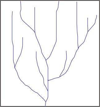 Ilustracja przedstawia układ dendryczny sieci rzecznej. Jest to sieć rozgałęziona, która z lotu ptaka przypomina drzewo. Rzeka wywodzi się z jednego miejsca w dole schematu, biegnie pionowo w górę, kolejno rozchodzi się na boki w rozgałęzienia, które kolejno dalej się rozgałęziają.
