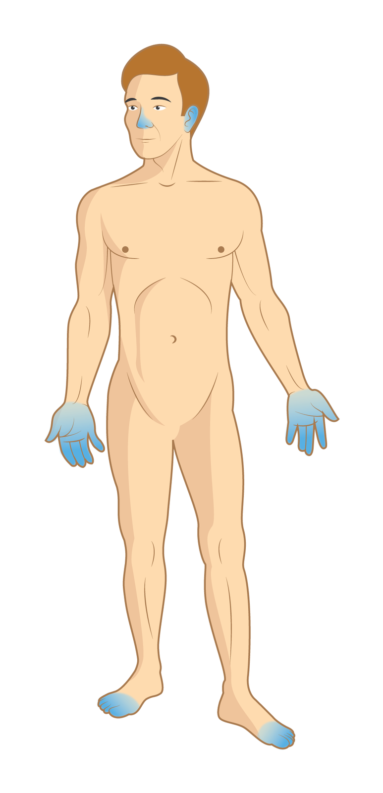 Ilustracja przedstawia mężczyznę bez ubioru. Mężczyzna stoi przodem do obserwatora ilustracji. Części ciała zabarwione na niebiesko wskazują miejsca, które najczęściej ulegają odmrożeniu. Są to: nos, uszy, dłonie oraz palce stóp.