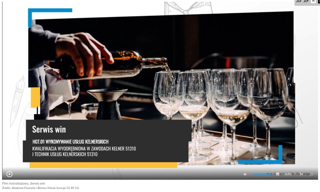 Grafika przedstawia widok ujęcia początkowego filmu instruktażowego zatytułowanego Serwis win. Na grafice widać pasek sterowania filmem, który zawiera przycisk startu film, suwak głośności filmu, przycisk włączenia napisów, przycisk wyboru jakości odtwarzanego filmu, przycisk wyboru prędkości odtwarzania filmu oraz przycisk włączenia pełnego ekranu.