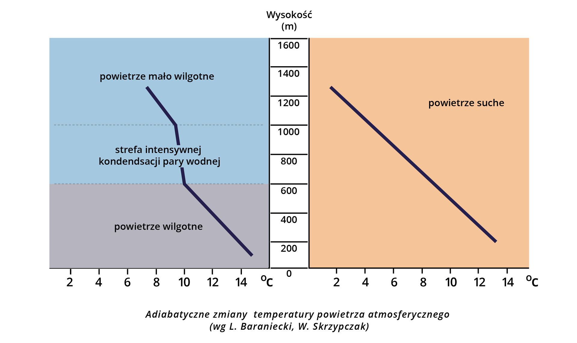 Ilustracja przedstawia adiabatyczne zmiany temperatury powietrza atmosferycznego. Ilustracja zbudowana jest z dwóch części przedzielonych skalą wysokości podanej w metrach od zera do 1600 metrów. Po lewej i prawej stronie od skali dotyczącej wysokości na osi X jest temperatura od zera do 16 stopni Celsjusza. Po lewej stronie ilustracji jest linia przechodząca przez trzy warstwy. Od zera do 600 metrów jest powietrze wilgotne - tu linia biegnie od 15 stopni Celsjusza do 10 stopni. Następna warstwa to strefa intensywnej kondensacji pary wodnej  na wysokości od 600 do 1000 metrów. Linia biegnie pionowo na wysokości 10 stopni Celsjusza. Kolejna warstwa to powietrze mało wilgotne na wysokości od 1000 do 1600 metrów. Linia biegnie od 10 stopni Celsjusza do 8 stopni. Po prawej stronie skali wysokości zaznaczono powietrze suche. Linia biegnie od 200 metrów i temperatury 14 stopni Celsjusza do około 1300 metrów i temperatury 2 stopni.   