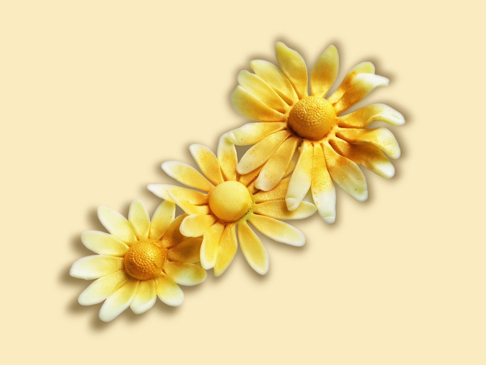 Kwiaty rumianków z masy cukrowej.