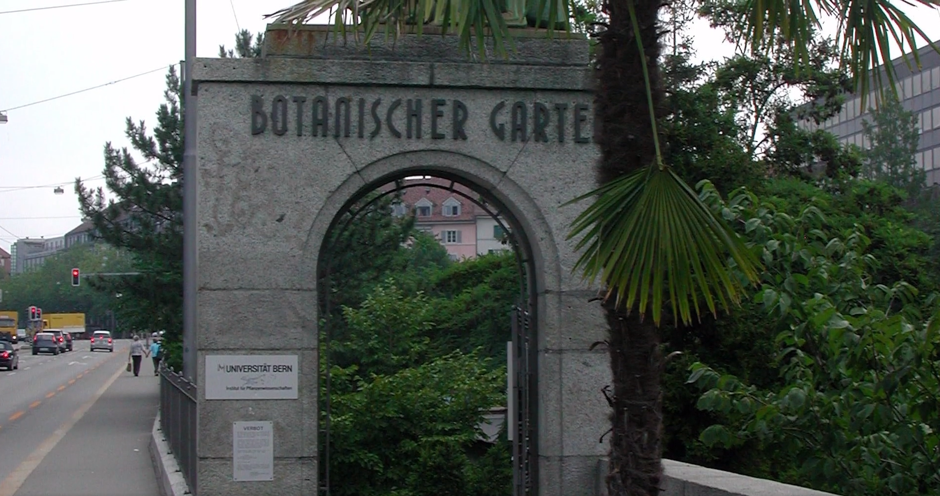 Scena przedstawia zdjęcia bujnej roślinności, która zdobi ogrody i porasta budynki.