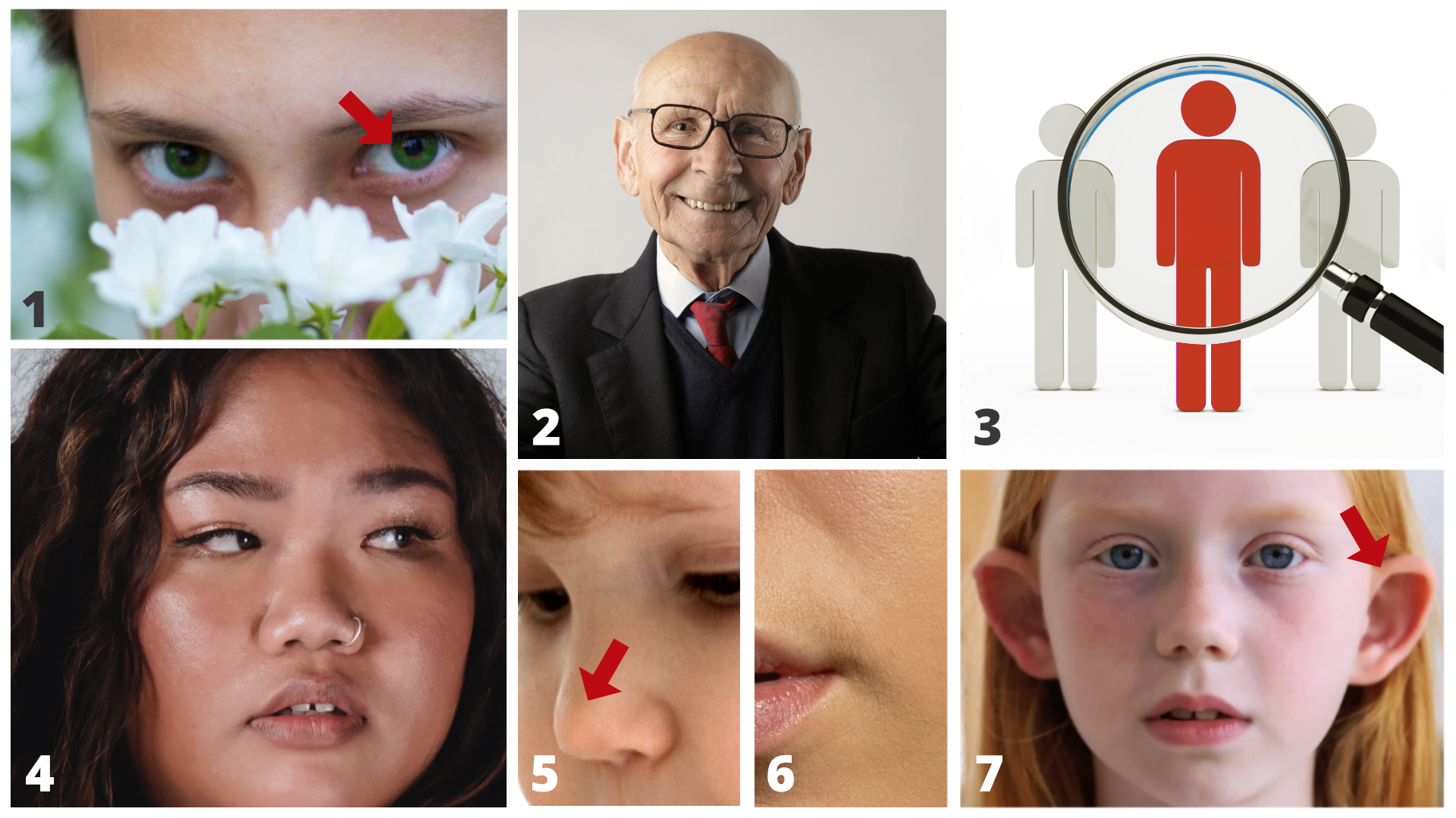 Wygląd zewnętrzny.