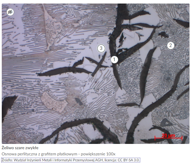Przykładowe zdjęcie w galerii po powiększeniu