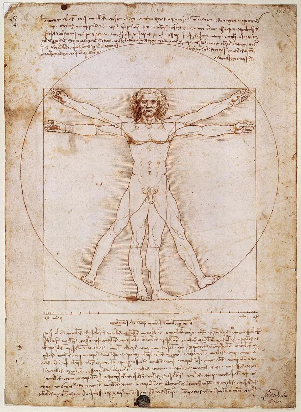 Ilustracja przedstawia rysunek Leonardo da Vinci, „Człowiek witruwiański”. Ukazuje dojrzałego i nagiego mężczyznę, wpisanego równocześnie w koło i kwadrat. Mężczyzna ukazany jest w dwóch, jakby nakładających się na siebie pozycjach rąk i nóg. Nad i pod nim widnieją odręczne zapisy sporządzone, tzw. pismem lustrzanym, w których obie te pozycje są objaśnione.