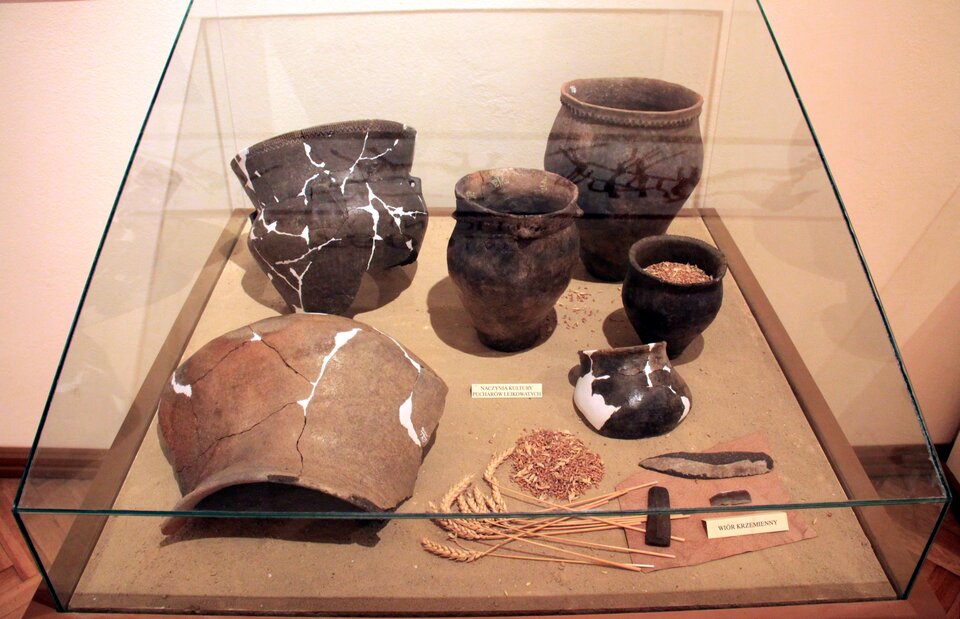 Na zdjęciu widoczna jest muzealna gablotka z eksponatami archeologicznymi, prezentująca naczynia ceramiczne i narzędzia krzemienne z okresu neolitu, związane z kulturą pucharów lejkowatych. W przedniej części gabloty umieszczono też ziarna zbóż oraz kłosy, co wskazuje na znaczenie rolnictwa w gospodarce społeczności tej kultury. Obok nich znajduje się zestaw narzędzi, być może używanych do cięcia lub skrobania. Za nimi znajdują się pękate naczynia. Są zróżnicowane pod względem kształtów i wielkości — znajdują się tu zarówno duże, pękate formy, jak i mniejsze kubki czy wazy. Część naczyń została zrekonstruowana z fragmentów – widoczne są linie sklejeń, wypełnione białą masą konserwatorską. Powierzchnia ceramiki miejscami ozdobiona jest rytymi wzorami geometrycznymi, choć nie wszystkie naczynia noszą ślady dekoracji. 