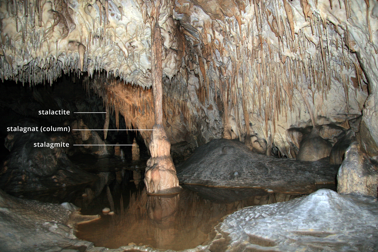 Fotografia przedstawiająca wnętrze jaskini. Ze stropu zwisają sople skalne – stalaktyty stalactite, od dołu widoczne narastające coraz wyżej nacieki – stalagmity. Widoczne na zdjęciu połączenie stalaktytu i stalagmitu (stalagmite), to stalagnat - stalagnat (column).