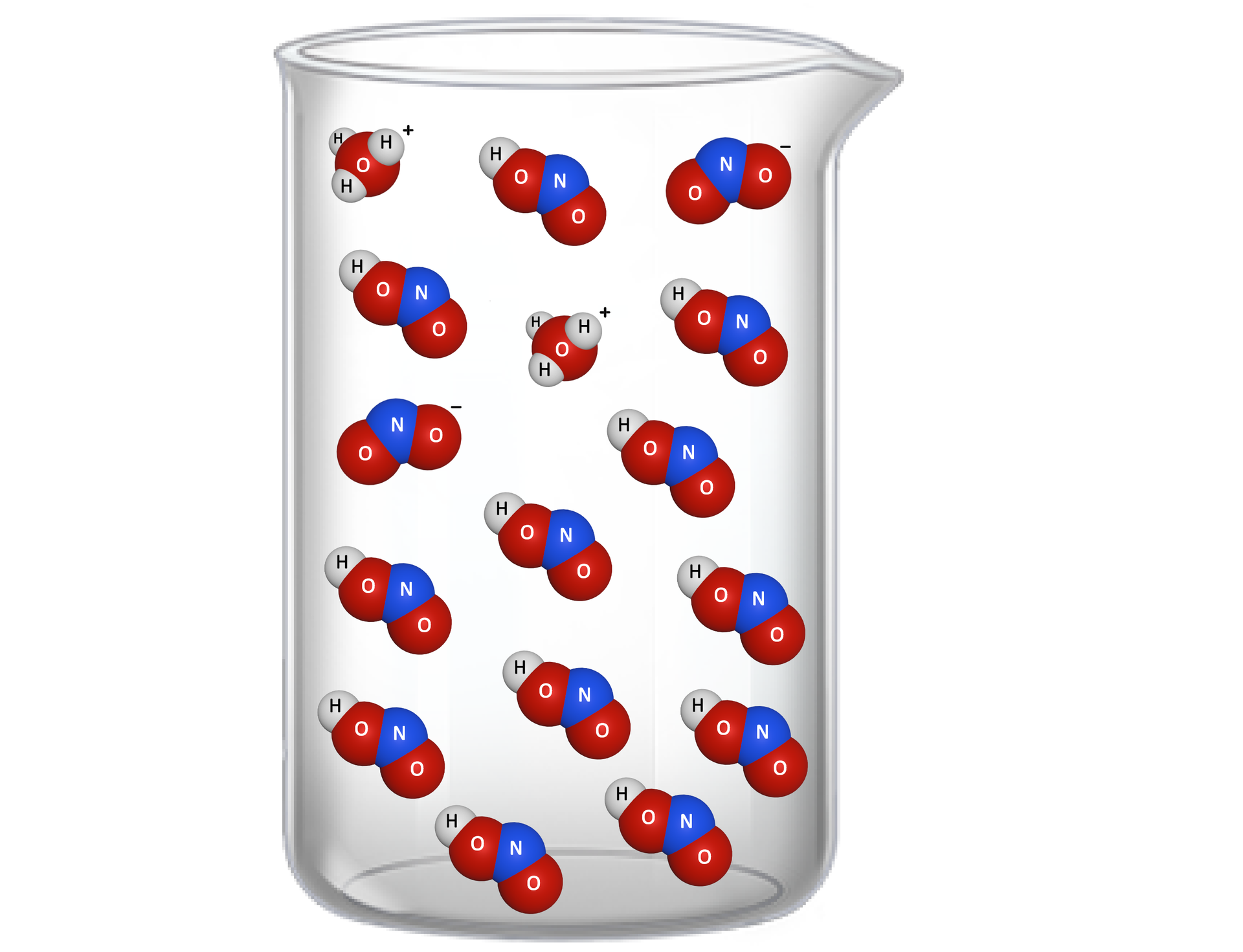 Ilustracja przedstawiająca zlewkę, w jej wnętrzu struktury obecne w roztworze słabego kwasu, HNO2. W roztworze znajduje się niewielka ilość cząsteczek kwasu w formie zdysocjowanej jonowej, to jest kationy H3O+ oraz  NO2-. W zdecydowanej przewadze w roztworze obecne są cząsteczki niezdysocjowane HNO2.