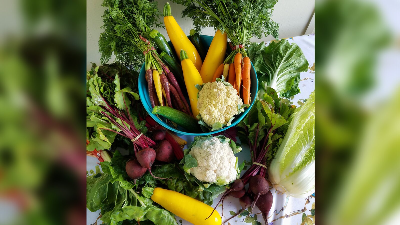 Zdjęcie przedstawia miskę wypełnioną warzywami, dookoła której rozłożono kolejne warzywa. Są tam między innymi kalafior, marchew, buraki, sałata, jarmuż, cukinia oraz kapusta pekińska.