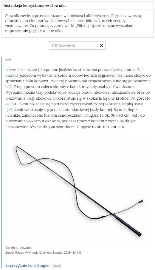 Przykładowa ilustracja ilustrująca fragment słownika z częścią umożliwiającą filtrację pojęć. Na samej górze umieszczona jest instrukcja korzystania ze słownika. Zawarta jest w niej następująca informacja: „Słownik zawiera pojęcia ułożone w kolejności alfabetycznej. Pojęcia zawierają odnośniki do elementów składowych e‑materiału, w których zostały zastosowane. Za pomocą wyszukiwarki „Filtruj pojęcie” można wyszukać odpowiednie pojęcie w słowniku”. Pod instrukcją korzystania ze słownika umieszczone zostało pole w kształcie prostokąta. Wewnątrz znajduje się napis: filtruj pojęcie oraz umieszczony z boku przycisk w kształcie krzyżyka. Na samym dole znajduje się pierwsze pojęcie ze słownika. Dotyczy ono bata.