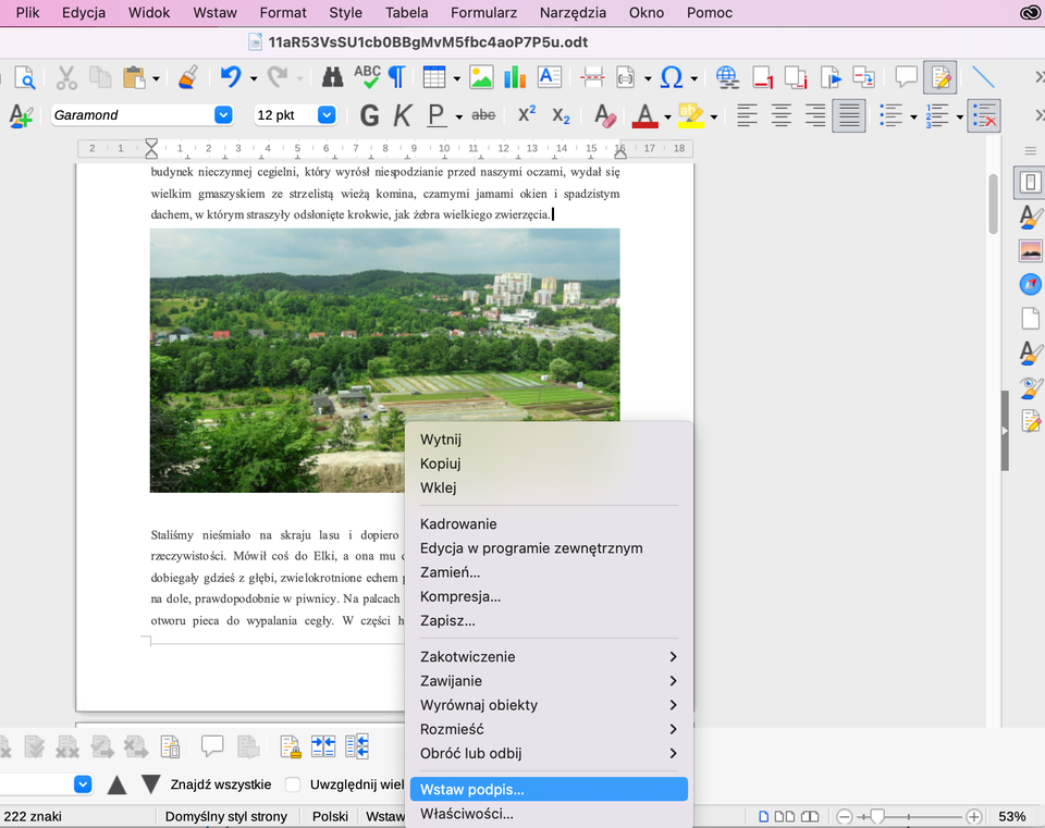 Zrzut ekranu przedstawia fragment środowiska pracy w programie LibreOffice Writer na komputerze Mac. Po lewej stronie widoczny jest tekst literacki, natomiast centralnie znajduje się rozwinięte menu „Wstaw”, w którym podświetlona została opcja „Obraz...”. Po prawej stronie ekranu otwarte jest okno wyboru pliku graficznego (Finder lub podobny menedżer plików systemu macOS), w którym wybrany został plik o nazwie „Gdańsk Brętowo.jpeg”. Podgląd obrazu pokazuje szeroką panoramę zielonego terenu z polami, domami i zabudową miejską na tle wzgórz. Pod podglądem zdjęcia widoczne są dane pliku oraz przycisk „Otwórz”.