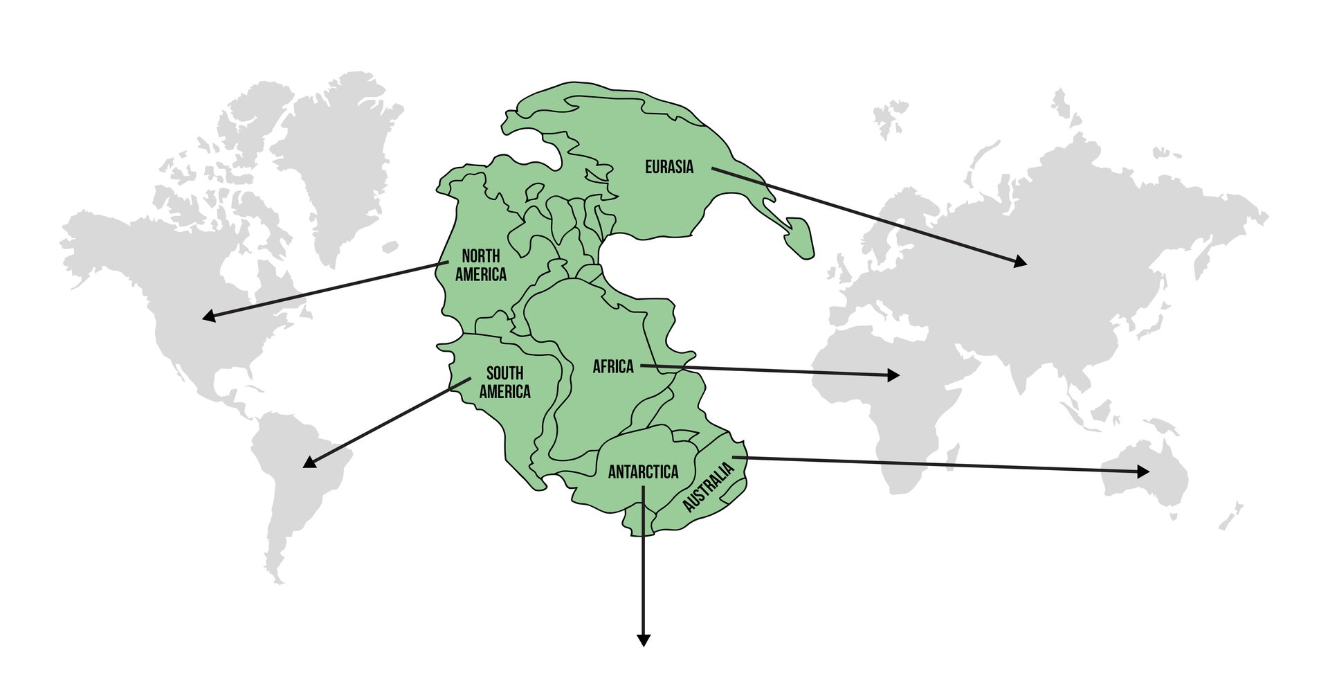 Ilustracja przedstawia połączone kontynenty Euroazji, obu Ameryk, Australii, Antarktydy i Afryki. Strzałkami zaznaczono cienie kontynentów w dzisiejszym kształcie. Transkrypcja nagrań znajduje się poniżej.