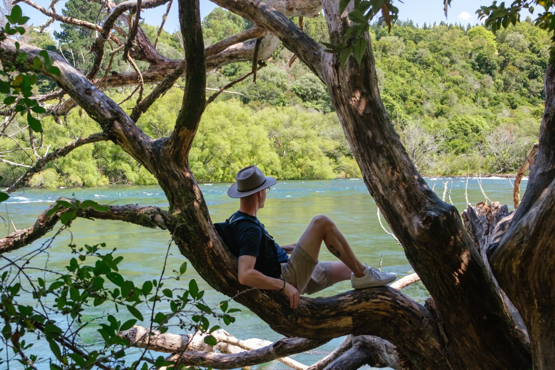 Ilustracja przedstawia mężczyznę siedzącego na konarze rozłożystego drzewa rosnącego nad rzeką. W oddali widoczna jest ściana lasu.