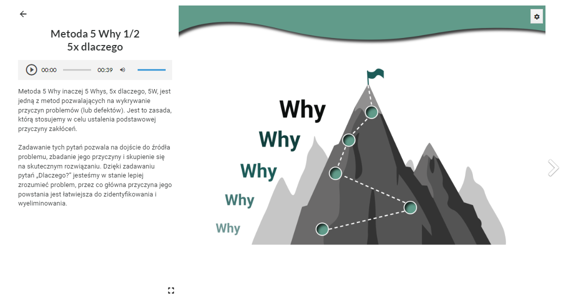 Widok po rozwinięciu opisu