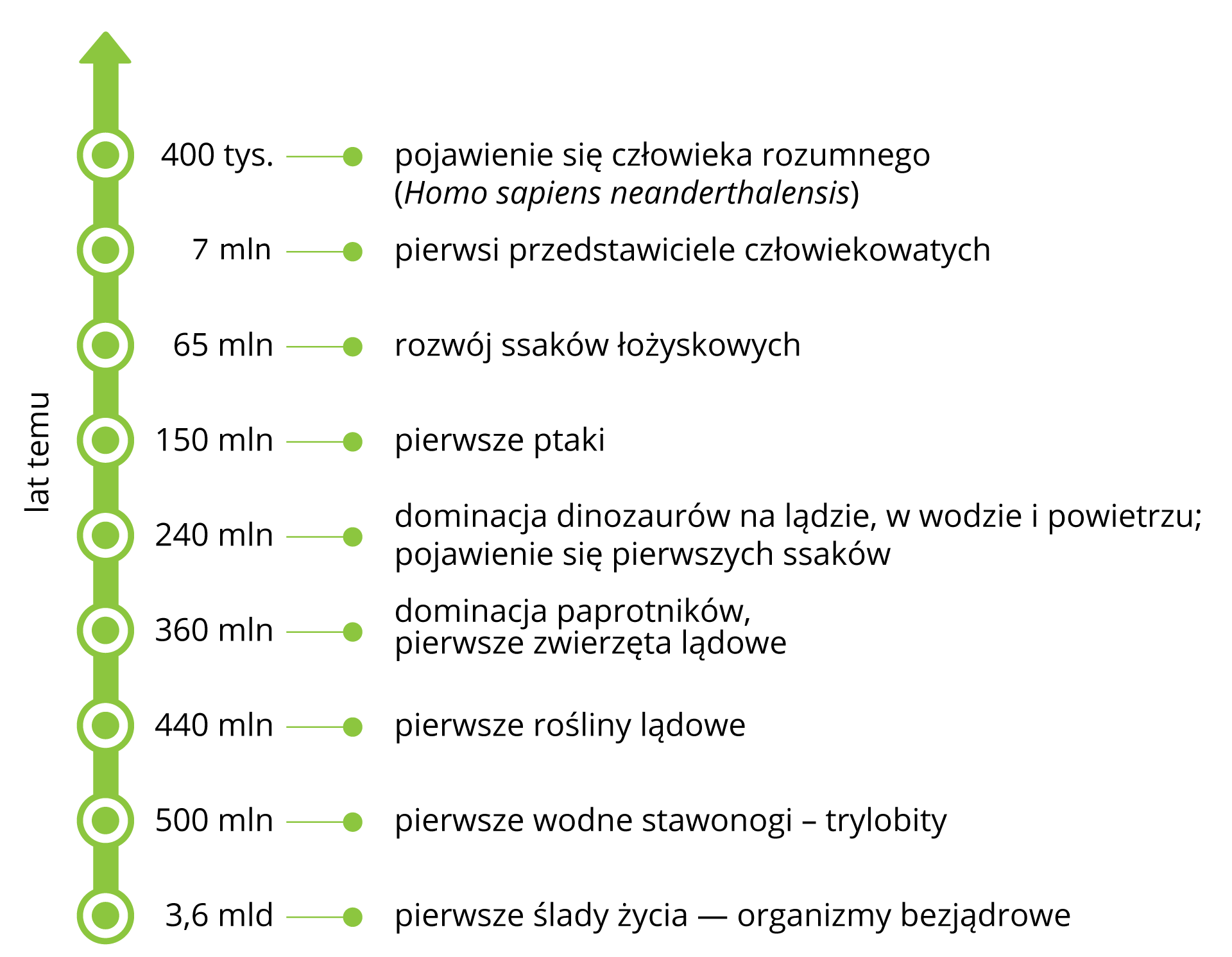 Linia czasu, na której umieszczono wybrane wydarzenia z historii życia na Ziemi. 180 tys. Pierwszy człowiek – Homo sapiens 5,3 mln Pierwsi przedstawiciele człowiekowatych70 mln Rozwój ssaków łożyskowych 150 mln Pierwsze rośliny kwiatowe200 mln Pierwsze ptaki240 mln W morzach, na lądzie i w powietrzu dominują dinozauryPierwsze ssaki360 mln Dominują paprotnikiPierwsze zwierzęta lądowe440 mln Pierwsze rośliny lądowe500 mln W morzach żyją najstarsze stawonogi - trylobity3,9 mld Pierwsze ślady życia – organizmy bezjądrowe