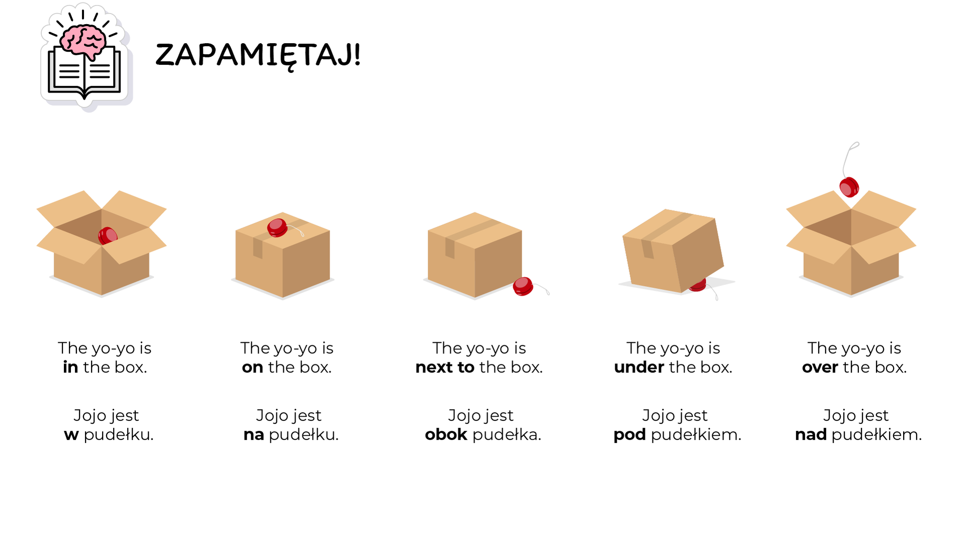 Ilustracja przedstawia spis pojęć zapisanych w języku angielskim oraz języku polskim.  Składa się ona z pięciu kolumn, w których widoczne są ilustracje i opisy pod nimi. W lewym górnym rogu ilustracji znajduje się ikona otwartej książki oraz mózgu. Obok ilustracji widnieje napis: Zapamiętaj. 
W pierwszej kolumnie od lewej znajduje się ilustracja kartonowego pudełka z czerwonym jojo w środku. Pod ilustracją znajduje się tekst zapisany w języku angielskim: The yo‑yo is in the box. W tekście wyróżniono słowo: “in”. Poniżej znajduje się tekst zapisany w języku polskim: Jojo jest w pudełku. W tekście wyróżniono słowo: “w”. 
Kolejna Ilustracja przedstawia zamknięte pudełko oraz jojo znajdujące się na jego wierzchu. Pod ilustracją znajduje się tekst zapisany w języku angielskim: The yo‑yo is on the box. W tekście wyróżniono słowo: 
on. Poniżej znajduje się tekst zapisany w języku polskim: Jojo jest na pudełku. W tekście wyróżniono słowo: “na”. 
Kolejna Ilustracja przedstawia zamknięte pudełko oraz jojo znajdujące się obok niego. Pod ilustracją znajduje się tekst zapisany w języku angielskim: The yo‑yo is next to the box. W tekście wyróżniono słowo: 
next to. Poniżej znajduje się tekst zapisany w języku polskim: Jojo jest na pudełku. W tekście wyróżniono słowo: “obok”. 
Kolejna Ilustracja przedstawia zamknięte pudełko oraz jojo znajdujące się pod nim. Pod ilustracją znajduje się tekst zapisany w języku angielskim: The yo‑yo is under the box. W tekście wyróżniono słowo: under. Poniżej znajduje się tekst zapisany w języku polskim: Jojo jest pod pudełkiem. W tekście wyróżniono słowo: “pod”. 
Kolejna Ilustracja przedstawia otwarte pudełko oraz jojo znajdujące się nad nim. Pod ilustracją znajduje się tekst zapisany w języku angielskim: 
The yo‑yo is over the box. W tekście wyróżniono słowo: “over”. Poniżej znajdują się tekst zapisany w języku polskim: Jojo jest nad pudełkiem. W tekście wyróżniono słowo: “nad”. 
