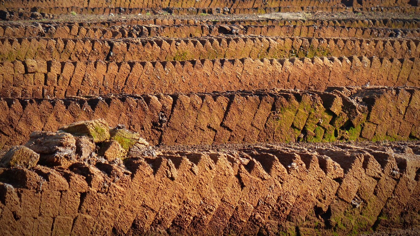 Zdjęcie przedstawia tarasowanie stoków. Są to formy schodkowe utworzone z gleby na wzniesieniu.