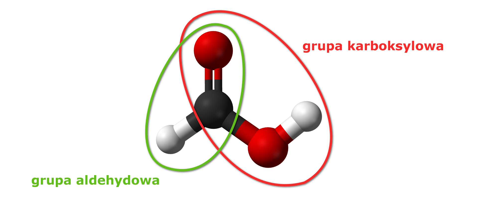 Na ilustracji pokazana jest cząsteczka kwasu mrówkowego z zaznaczeniem grupy karboksylowej COOH i aldehydowej CHO. Model zbudowany jest z jednej czarnej kuli połączonej z dwiem czerwonymi kulkami oraz z jedną białą kulką. Jedna czerwona kula łączy się z białą kulką.  