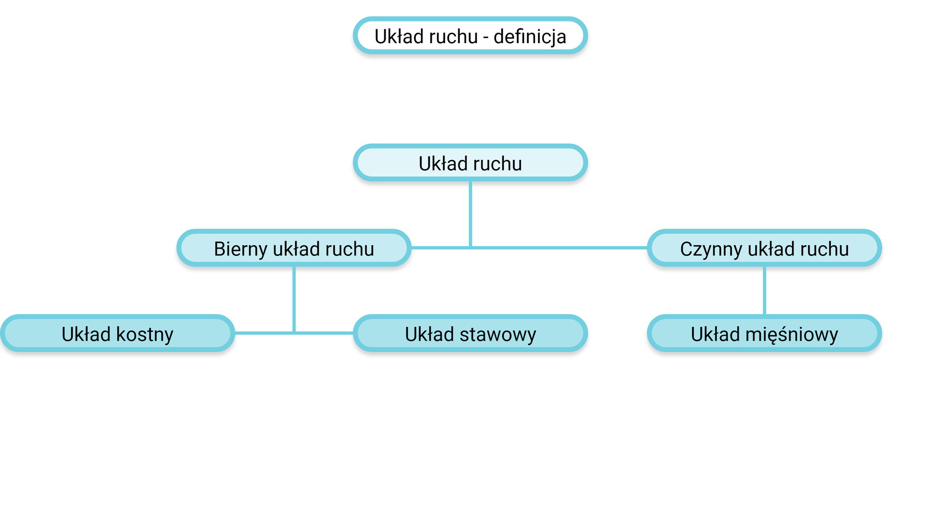 Układ ruchu - definicja