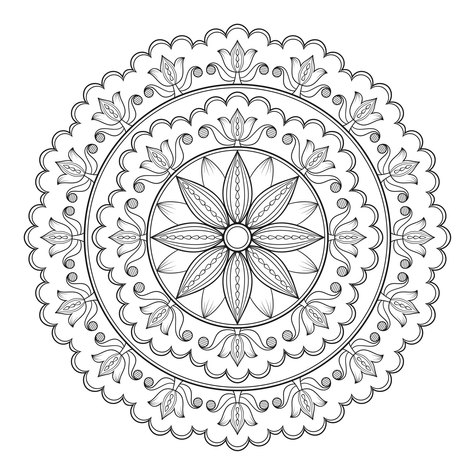 Ilustracja nr 2 do ćwiczenia nr 5, online‑skills, CC BY 3.0