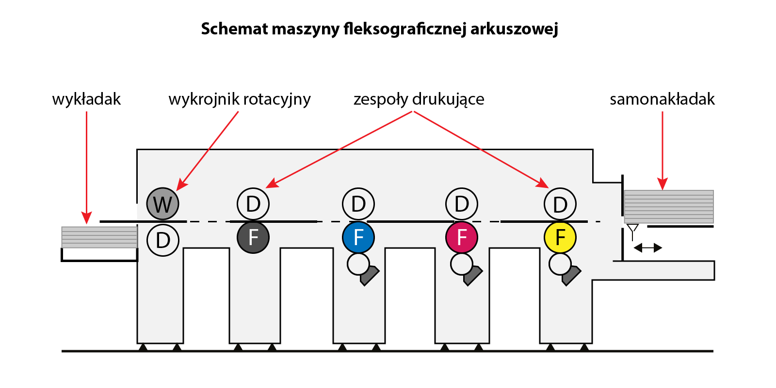 Grafika przedstawia schemat maszyny fleksograficznej arkuszowej widziany z boku. Od prawej strony widoczny jest poziomy samonakładak, następnie widoczne są 4 pionowe zespoły drukujące z zespołami farbowymi w kolorze żółtym, magenta, cyjan i czarny. Następnie widoczny jest wykrojnik rotacyjny. Całość zakończona jest poziomym wykładakiem.