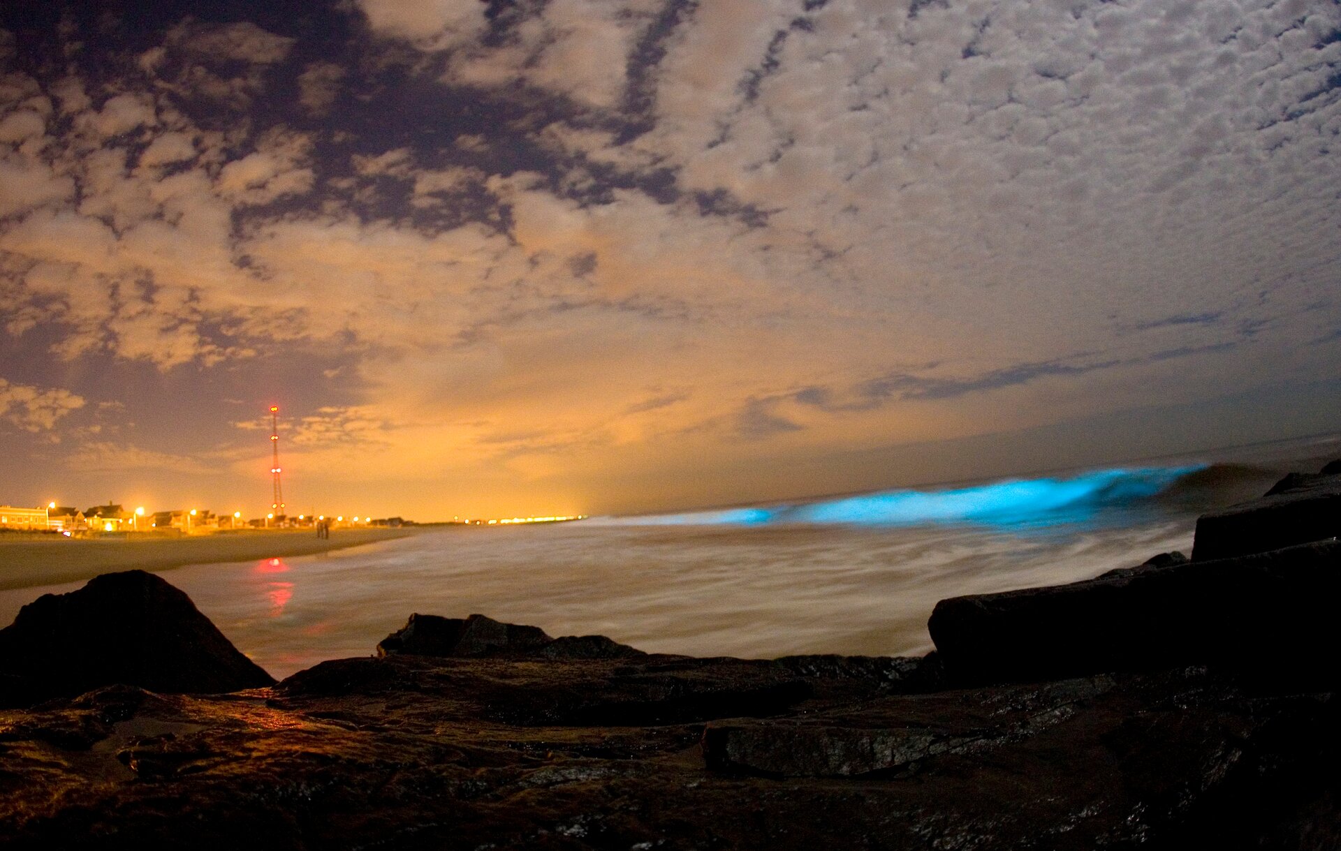 Fotografia przedstawia nadmorski krajobraz wieczorem. Na pierwszym planie ciemne skały, w głębi światła miasta, na górze liliowe niebo z chmurami. W morzu z prawej wznosi się fala w niebieskim neonowym kolorze. To zabarwienie wywołały bakterie bioluminescencyjne.