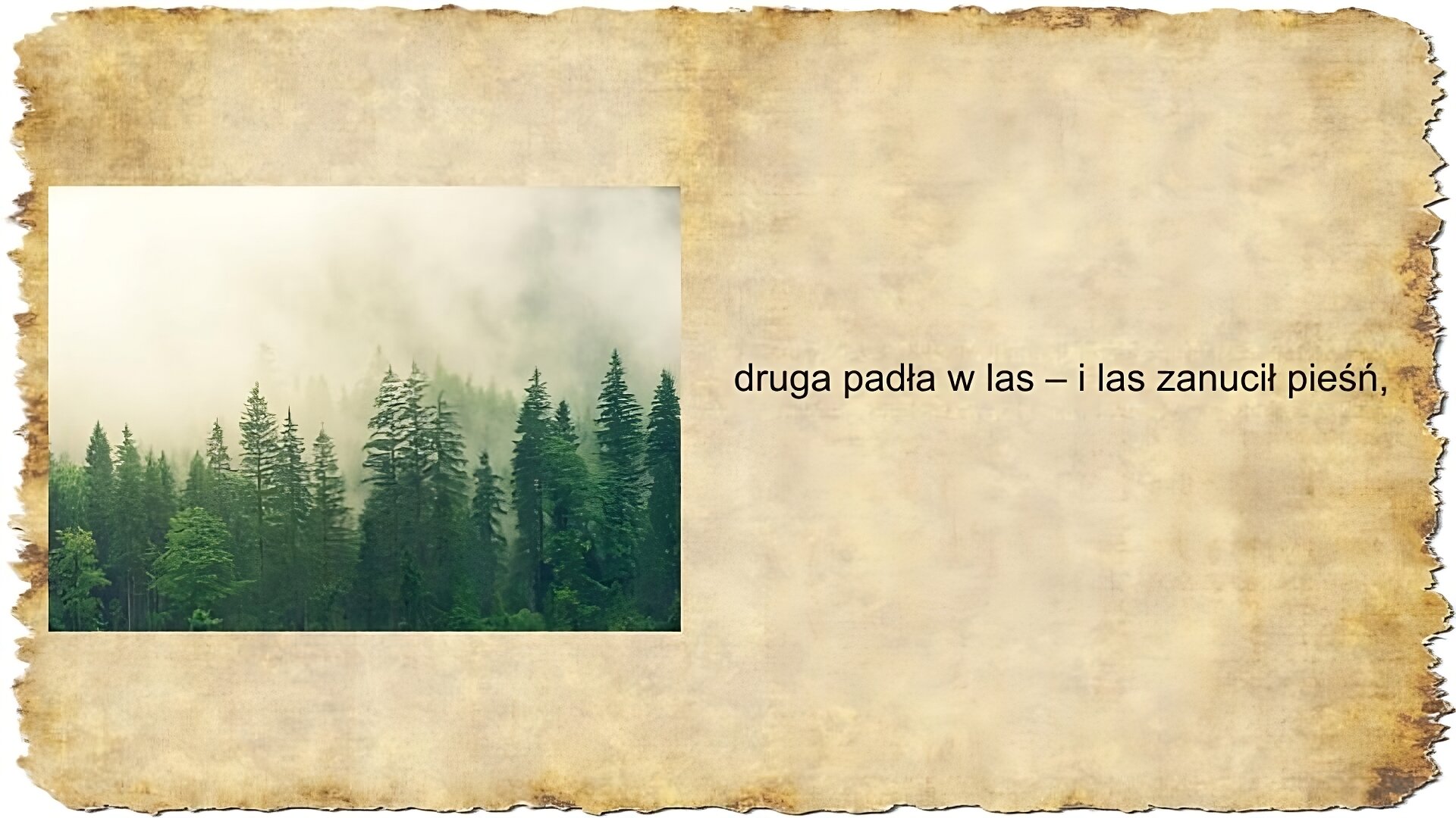Po prawej stronie slajdu zamieszczony jest tekst: druga padła w las – i las zanucił pieśń, Po lewej stronie slajdu umieszczona jest kolorowa fotografia przedstawiająca las. Na pierwszym planie widoczne są drzewa iglaste i liściaste. Na drugim planie drzewa są ledwo widoczne, ponieważ zasłania je mgła.