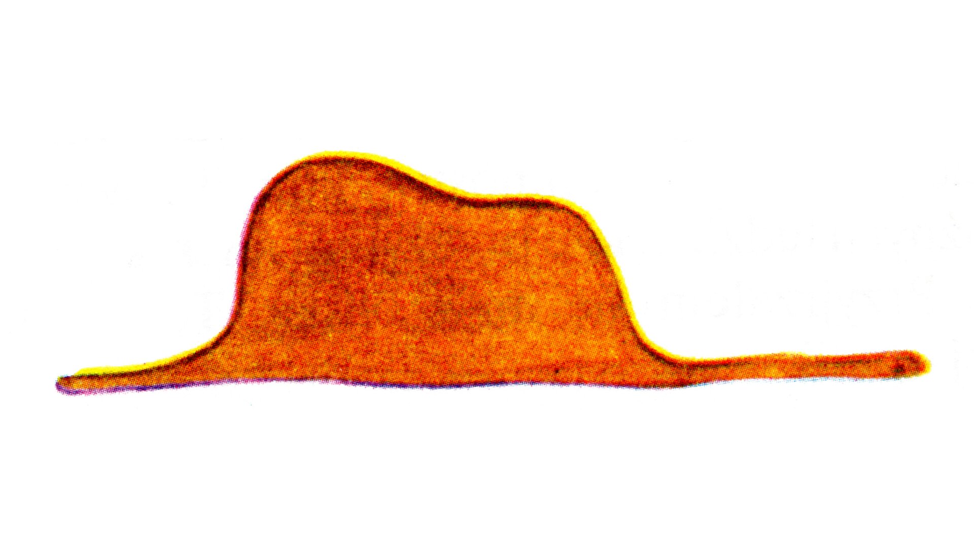 Grafika przedstawia uproszczoną, obwiedzioną czarną linią i wypełnioną kolorem pomarańczowym formę, przypominającą oglądany z boku kapelusz. Na środku kształt wznosi się jak samotna góra z wklęsłym obniżeniem na szczycie, co może odpowiadać koronie kapelusza (jego części, w którą mieści się głowa) z wgnieceniem w górnej części korony (tzw. szczyptą). U dołu, po bokach kształt przechodzi w długie, wąskie, poziome wypustki, które mogą być uznane za rondo kapelusza. Wydłużony kształt z lewej jest krótszy od tego z prawej strony. Na samym końcu tego prawego dostrzec można czarną kropkę.