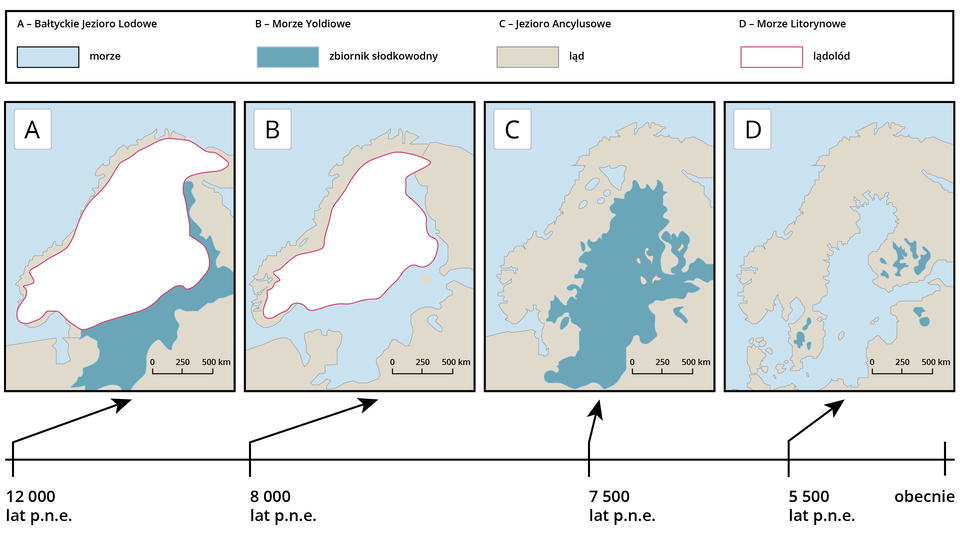 Ilustracja przedstawia fazy rozwoju Morza Bałtyckiego. Fazy przedstawiono w postaci czterech map A, B, C, D z rejonem Morza Bałtyckiego i lądem - północną częścią Europy. Mapa A przedstawia Bałtyckie Jezioro Lodowe 12 000 lat przed naszą erą. Jezioro zajmowało wówczas obszar dzisiejszego Bałtyku. Na mapie obszar Skandynawii pokrywa lądolód. Obejmuje on także część północnego i zachodniego dzisiejszego Bałtyku. Pozostały obszar rozciągający się na południe i wschód zajmuje zbiornik słodkowodny. Brak połączenia jeziora z Morzem Północnym. Na mapie oznaczonej literą B pokazano fazę rozwoju z Morzem Yoldiowym, 8000 lat przed naszą erą. Znaczny obszar Skandynawii pokrywa lądolód, z wyjątkiem północno‑zachodniego wybrzeża. Lądolód obejmuje także północno‑zachodnią część obecnej powierzchni Bałtyku. Pozostałą powierzchnię zajmuje morze. Jest połączenie z Morzem Północnym. Na mapie C przedstawiono zasięg Jeziora Ancylusowego, 7500 lat przed naszą erą, to kolejne stadium rozwoju Bałtyku. Pokrywało się z powierzchnię współczesnego Morza Bałtyckiego, ale ze względu na ponowny brak połączenia z Morzem Północnym było słodkowodne. W ostatnim stadium rozwoju Bałtyku, które przedstawia mapa D, jest Morze Litorynowe, 5500 lat przed naszą erą. Dotychczasowe Jezioro Ancylusowe uzyskało ponownie połączenie z Morzem Północnym, stając się akwenem morskim.         