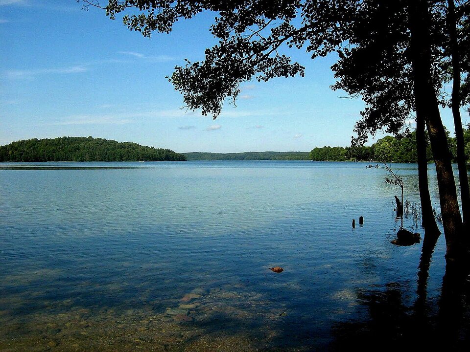 Zdjęcie przedstawia jezioro o spokojnej, lekko pofalowanej tafli wody. Na pierwszym planie widać płytką, przejrzystą wodę z kamienistym dnem, a po prawej stronie ciemne sylwetki pni drzew i gałęzi zwisających nad wodą. W oddali na horyzoncie ciągnie się pas zalesionych brzegów pod jasnoniebieskim niebem.