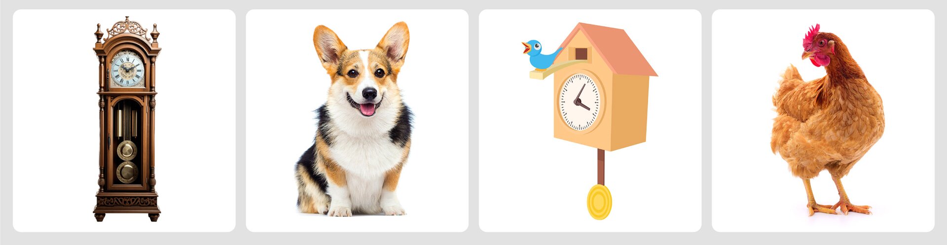 Ilustracja przedstawia cztery karty z obrazkami. Kolejno jest to wysoki, stojący zegar, pies, zegar z kukułką i kura.