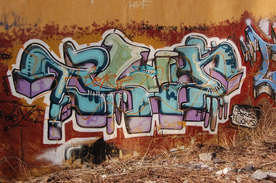 Zdjęcie przedstawia graffiti w kolorze różowym, turkusowym oraz zielonym. Namalowane jest na brązowej ścianie. Pod ścianą można zauważyć suchą trawę oraz kamienie.