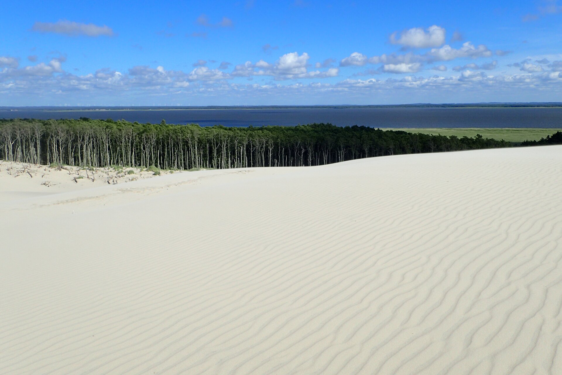 Zdjęcie przedstawia obszar pokryty jasnym piaskiem, na którym widoczne są struktury przypominające zmarszczki. Za terenem wydm znajduje się las, a za nim rozciąga się jezioro.