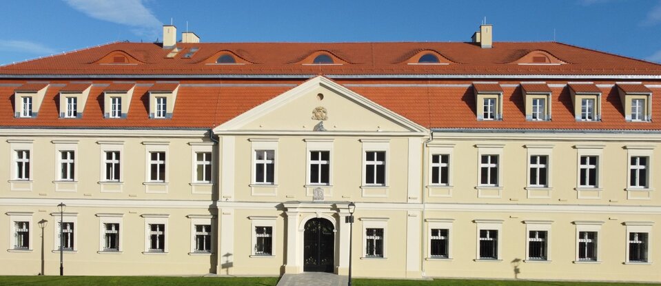 Zdjęcie przedstawia ścianę frontową pałacu Dietrichsteinów w Wodzisławiu. Jest to murowany budynek piętrowy na planie wydłużonego prostokąta. Jego fasada jest symetryczna, z ryzalitem wejściowym. Parter i piętro jest wydzielony gzymsem. Okna są obramowane. Ryzalit wejściowy jest zwieńczony trójkątnym przyczółkiem z kartuszem herbowym. Wejście  jest zamknięte półkoliście, flankowane zdwojonymi pilastrami dźwigającymi przełamujące się belkowanie. Dach czterospadowy i dwuspadowy jest pokryty dachówką.  