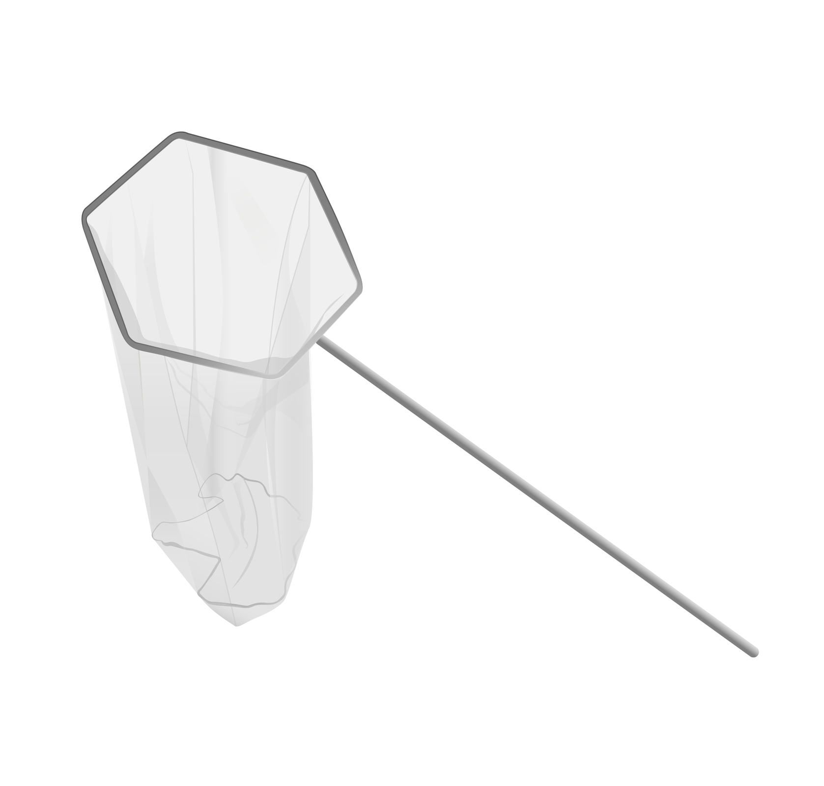 Na ilustracji widoczna jest siatka entomologiczna. Zbudowana jest z długiej rączki. Na jej szczycie znajduje się konstrukcja z rurek o kształcie sześcianu foremnego. Do niej przyczepiona jest zwisająca siatka, zwężająca się ku dołowi. Siatka tworzy obły, zamknięty worek.