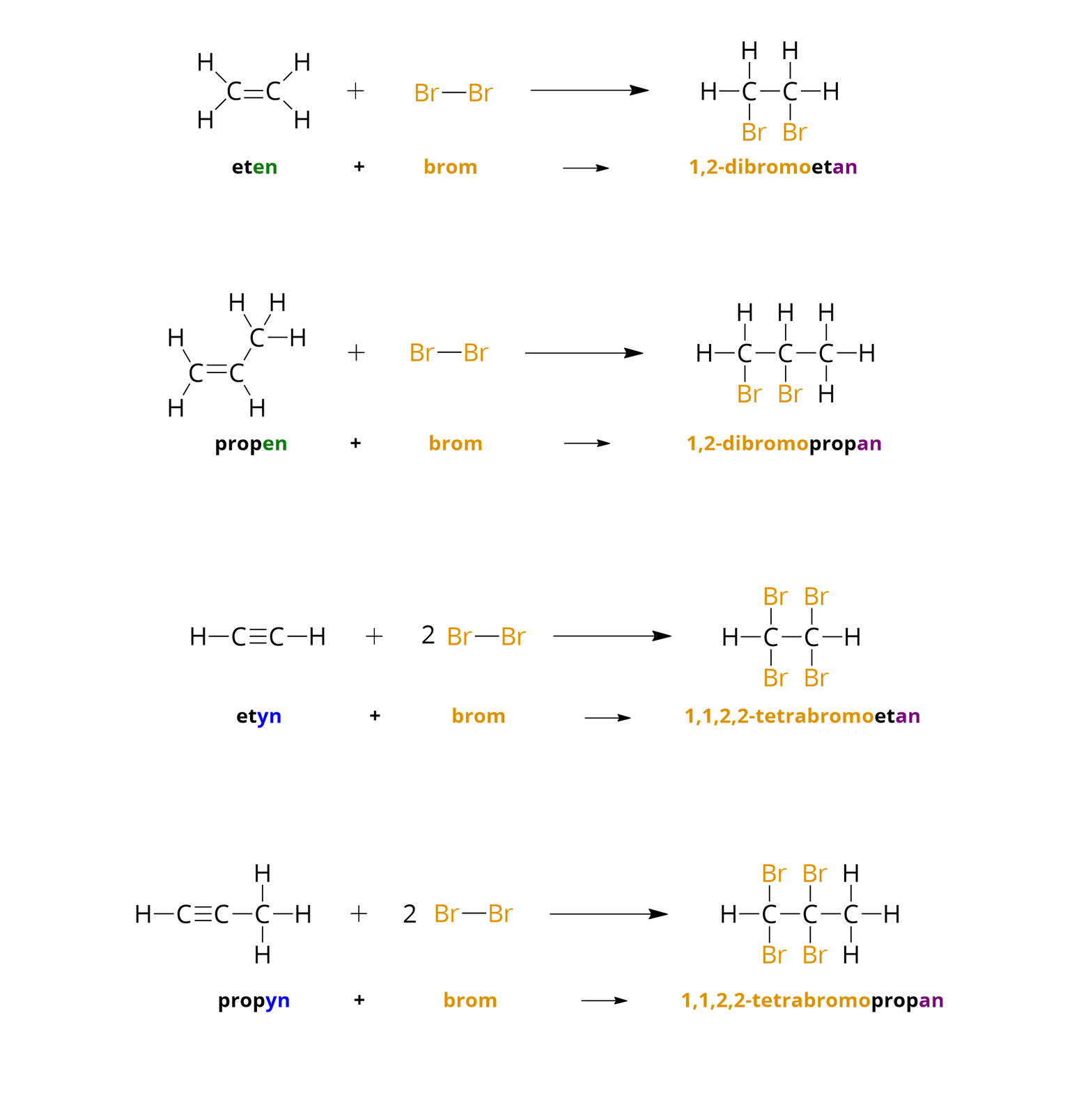 Grafika przedstawia cztery reakcje bromowania węglowodorów nienasyconych. Reakcje zapisano w formie wzorów strukturalnych, pod którymi znajduje się zapis reakcji w formie nazw systematycznych. Pierwsza reakcja to reakcja bromowania etenu. Wzór strukturalny etenu to dwa atomy węgla połączone poziomym wiązaniem podwójnym. Od każdego z atomów węgla odchodzą po dwa wiązania do atomów wodoru. Cząsteczka bromu: Br wiązanie pojedyncze Br jest zaznaczona kolorem żółtym. Za strzałką znajduje się wzór produktu: <math aria‑label="jeden">1, <math aria‑label="dwa">2—dibromoetanu. Dwa atomy węgla są połączone pojedynczym poziomym wiązaniem. Każdy z atomów węgla tworzy jeszcze po trzy wiązania: dwa do atomów wodoru i po jednym do atomu bromu, który oznaczono na żółto. Poniżej znajduje się zapis słowny reakcji: eten (końcówka —en jest zaznaczona na zielono) plus brom strzałka <math aria‑label="jeden">1, <math aria‑label="dwa">2—dibromoetan (<math aria‑label="jeden">1, <math aria‑label="dwa">2—dibromo jest zapisane na żółto, a końcówka —an na fioletowo).
Druga reakcja to reakcja bromowania propenu. Wzór strukturalny propenu to dwa atomy węgla połączone poziomym wiązaniem podwójnym. Od jednego z atomów węgla odchodzą dwa wiązania do atomów wodoru, a drugi atom węgla tworzy wiązanie z jednym atomem wodoru oraz z atomem węgla, który z kolei tworzy wiązania z trzema atomami wodoru. Cząsteczka bromu: Br wiązanie pojedyncze Br jest zaznaczona na kolor żółty. Za strzałką znajduje się wzór produktu: <math aria‑label="jeden">1, <math aria‑label="dwa">2—dibromopropanu. Trzy atomy węgla są szeregowo połączone pojedynczym poziomym wiązaniem. Pierwszy z atomów węgla tworzy jeszcze trzy wiązania: dwa do atomów wodoru i jedno do atomu bromu, drugi tworzy dwa wiązania: jedno do atomu wodoru, drugie do atomu bromu. Oba atomy bromu są zapisane na żółto. Trzeci atom węgla tworzy trzy wiązania z atomami wodoru. Poniżej znajduje się zapis słowny reakcji: propen (końcówka —en jest zaznaczona na zielono) plus brom strzałka <math aria‑label="jeden">1, <math aria‑label="dwa">2—dibromopropan (<math aria‑label="jeden">1, <math aria‑label="dwa">2—dibromo jest zapisane na żółto, a końcówka —an na fioletowo). Trzecia reakcja to reakcja bromowania etynu. Wzór strukturalny etynu to dwa atomy węgla połączone poziomym wiązaniem potrójnym. Od każdego z atomów węgla odchodzi jedno wiązanie do atomu wodoru. Dwie cząsteczki bromu: Br wiązanie pojedyncze Br jest zaznaczone na kolor żółty. Za strzałką znajduje się wzór produktu: <math aria‑label="jeden">1, <math aria‑label="jeden">1, <math aria‑label="dwa">2, <math aria‑label="dwa">2—tetrabromoetanu. Dwa atomy węgla są połączone pojedynczym poziomym wiązaniem. Każdy z atomów węgla tworzy jeszcze po trzy wiązania: dwa do atomów bromu, zapisanych na żółto, i po jednym do atomu wodoru. Poniżej znajduje się zapis słowny reakcji: etyn (końcówka —yn jest zaznaczona na niebiesko) plus brom strzałka <math aria‑label="jeden">1, <math aria‑label="jeden">1, <math aria‑label="dwa">2, <math aria‑label="dwa">2—tetrabromoetan (<math aria‑label="jeden">1, <math aria‑label="jeden">1, <math aria‑label="dwa">2, <math aria‑label="dwa">2—tetrabromo jest zapisane na żółto, a końcówka —an na fioletowo).
Czwarta reakcja to reakcja bromowania propynu. Wzór strukturalny propynu to dwa atomy węgla połączone poziomym wiązaniem potrójnym. Od jednego z atomów węgla odchodzi jedno wiązanie do atomu wodoru, a od drugiego do atomu węgla, który z kolei tworzy wiązania z trzema atomami wodoru. Dwie cząsteczki bromu: Br wiązanie pojedyncze Br jest zaznaczone na kolor żółty. Za strzałką znajduje się wzór produktu: <math aria‑label="jeden">1, <math aria‑label="jeden">1, <math aria‑label="dwa">2, <math aria‑label="dwa">2—tetrabromopropanu. Trzy atomy węgla są szeregowo połączone pojedynczym poziomym wiązaniem. Pierwszy z atomów węgla tworzy jeszcze trzy wiązania: dwa do atomów wodoru i po jednym do atomu bromu, drugi tworzy dwa wiązania: jedno do atomu wodoru, drugie do atomu bromu. Oba atomy bromu są zapisane na żółto. Trzeci atom węgla tworzy trzy wiązania z atomami wodoru. Poniżej znajduje się zapis słowny reakcji: propyn (końcówka —yn jest zaznaczona na niebiesko) plus brom strzałka <math aria‑label="jeden">1, <math aria‑label="jeden">1, <math aria‑label="dwa">2, <math aria‑label="dwa">2—tetrabromopropan (<math aria‑label="jeden">1, <math aria‑label="jeden">1, <math aria‑label="dwa">2, <math aria‑label="dwa">2—tetrabromo jest zapisane na żółto, a końcówka —an na fioletowo).
