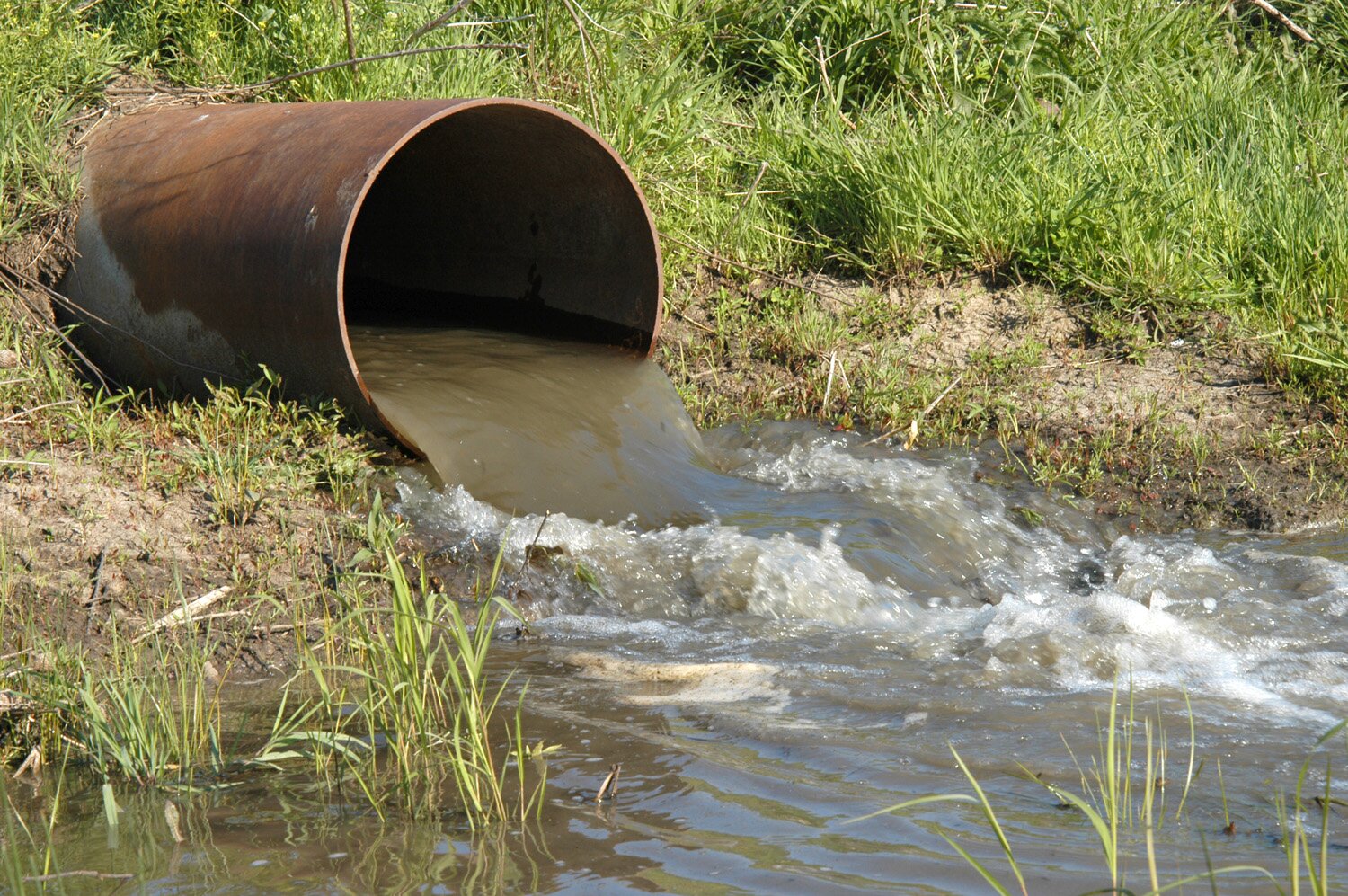 Na zdjęciu jest szeroka rura, z której brudna woda wypływa do zbiornika wodnego. Rura jest wkopana poziomo w teren porośnięty trawą. 