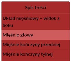 Grafika przedstawia listę schematów w atlasie. Na czerwonym tle znajduje się pięć wierszy. na samej górze umieszczono Spis treści. Pod nim znajdują się hasła: układ mięśniowy – widok z boku,   mięśnie głowy, mięśnie kończyny przedniej i mięśnie kończyny tylnej.