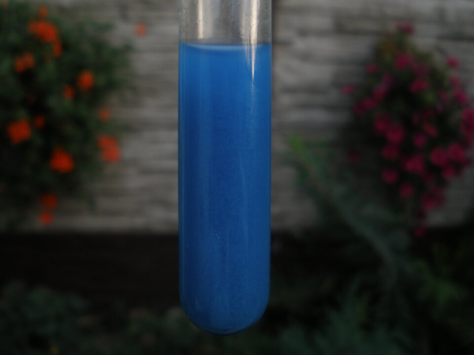 Na zdjęciu w probówce znajduje się mętny, niebieski roztwór, w tle znajduje się ściana i kwiaty.